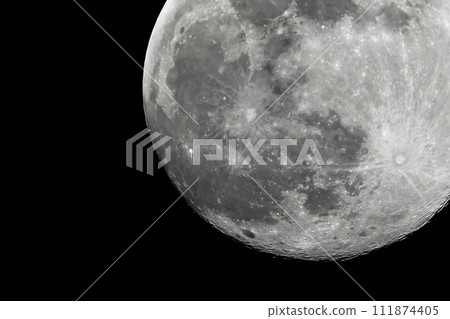 2023 年 3 月的蟲月 2023 年 3 月的蟲月 111874405