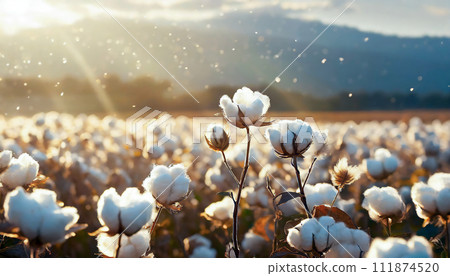 陽光照射下的棉花田美景 - AI 產生的圖像 陽光照射下的棉花田美景 - AI 產生的圖像 111874520