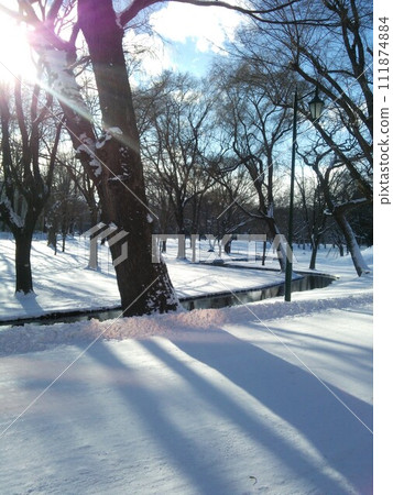 北海道大學冬天 北海道大學冬天 111874884