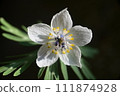 Setsubunsou 111874928