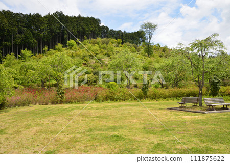 白川關遺址 2023-5-14 #74 111875622
