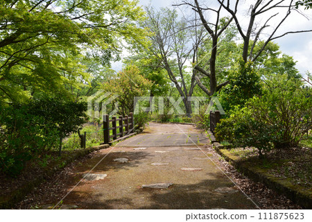白川關遺址 2023-5-14 #75 白川關遺址 2023-5-14 #75 111875623