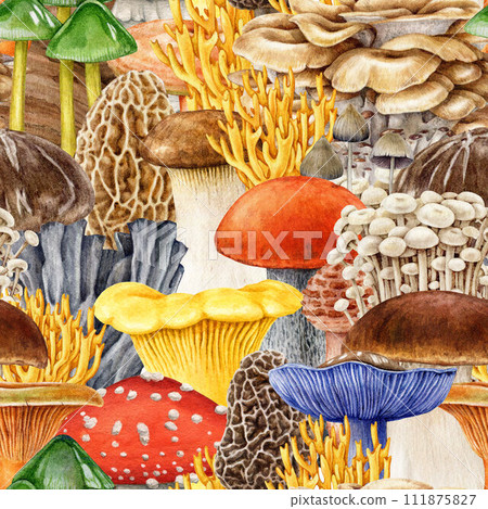 Bright mushrooms seamless pattern. Watercolor painted illustration decor. Hand drawn different beautiful mushroom seamless pattern. Bright fungi decoration Bright mushrooms seamless pattern. Watercolor painted illustration decor. Hand drawn different beautiful mushroom seamless pattern. Bright fungi decoration 111875827