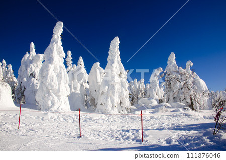 可以一邊滑雪一邊欣賞霜凍樹木的滑雪場 可以一邊滑雪一邊欣賞霜凍樹木的滑雪場 111876046