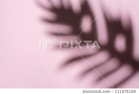 Blurred Palm Fronds in Soft Light Creating a Dreamlike Pattern 111876189