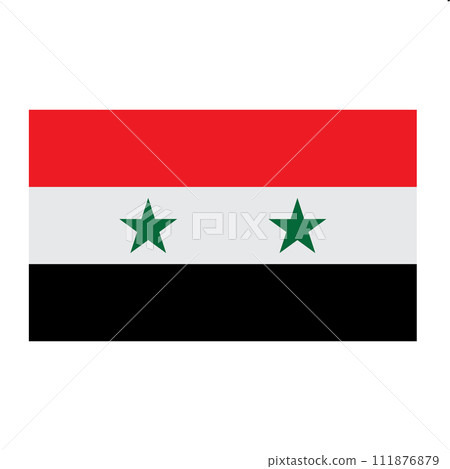 Syria country flag icon 111876879