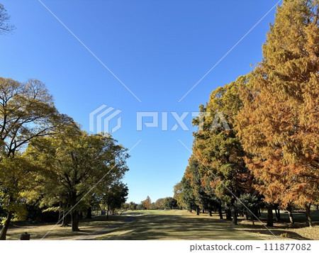 Golf course Golf course 111877082