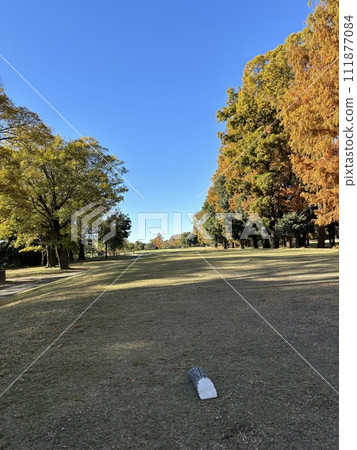 Golf course Golf course 111877084