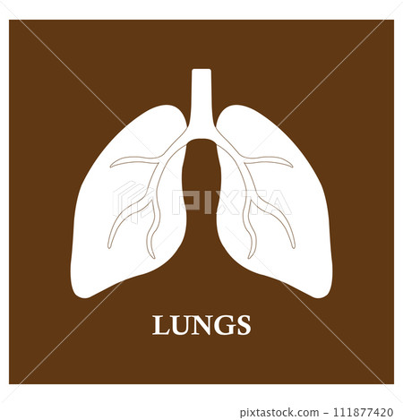 Lung icon 111877420