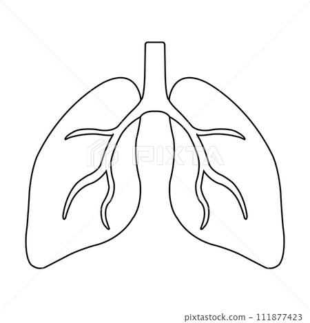 Lung icon Lung icon 111877423