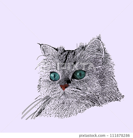 cat looking up 111878286