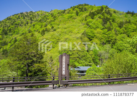 白骨溫泉資訊中心週邊，綠意盎然 111878377