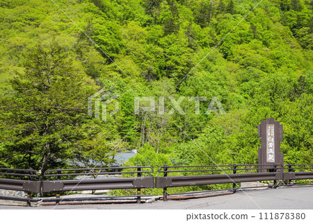 白骨溫泉資訊中心週邊，綠意盎然 111878380