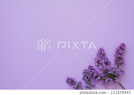 Frame of lilac flowers on a lilac background. Flat layer and copy space 111878445