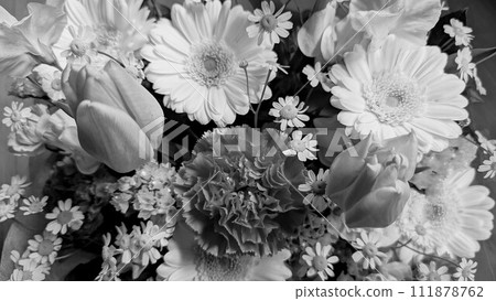 鬱金香和非洲菊的黑白花束 111878762