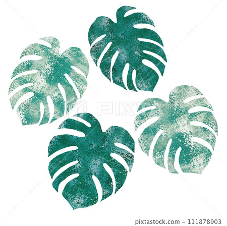 Grunge watercolor monstera 111878903
