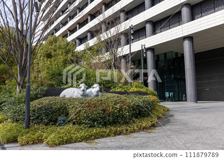 Daibiru Sheep (Photo taken on February 11, 2024) 111879789