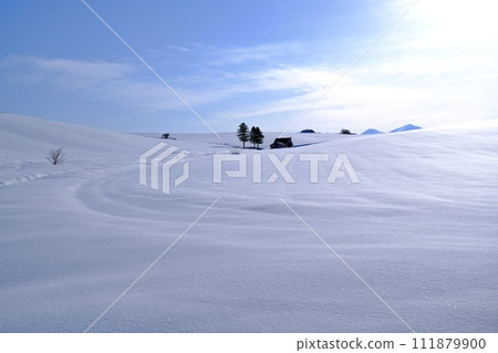 Winter Hokkaido Biei Hill with red roof house 111879900