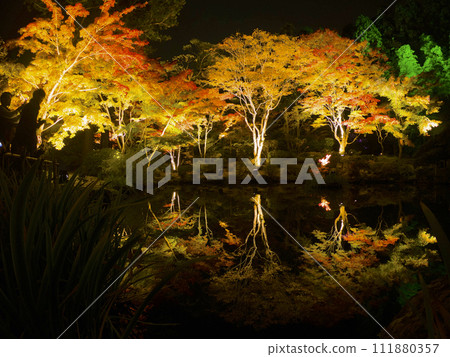 松島圓通院倒立的秋葉 111880357