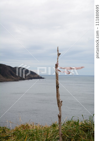 Rice fields facing the Sea of Japan in Wajima Rice fields facing the Sea of Japan in Wajima 111880695