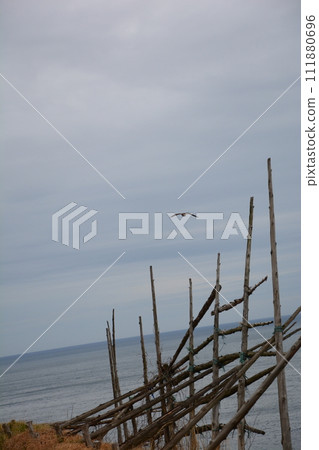 輪島面對日本海的稻田 111880696