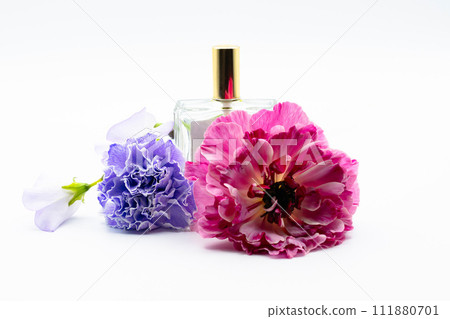 花精 花精 111880701