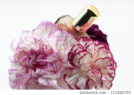 花精 花精 111880703