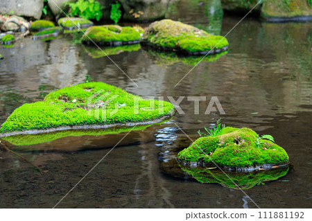 Mossy stones reflected on the water surface Mossy stones reflected on the water surface 111881192