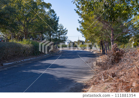 Lake Kasumigaura 111881354