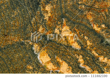 Macro stone skarn mineral on white background 111882100