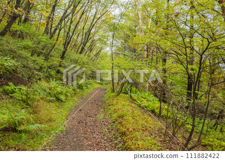 Mt. Koasama/climbing trail [October] 111882422