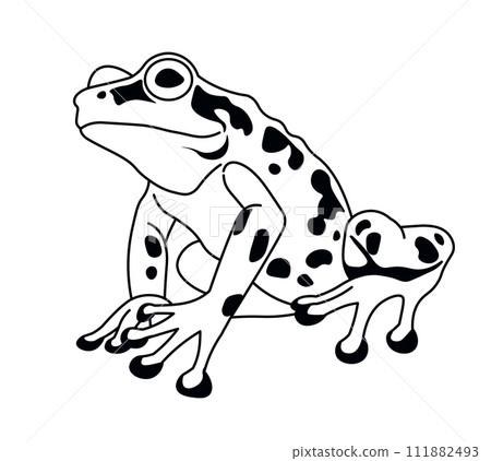 Spotted Frog Poised to Leap Spotted Frog Poised to Leap 111882493