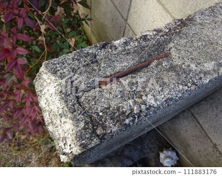 Reinforcement deterioration in concrete blocks 111883176