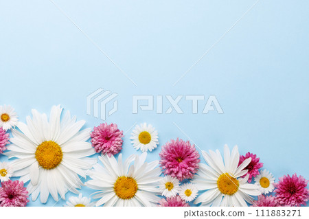 Garden blossom flower heads on blue background 111883271