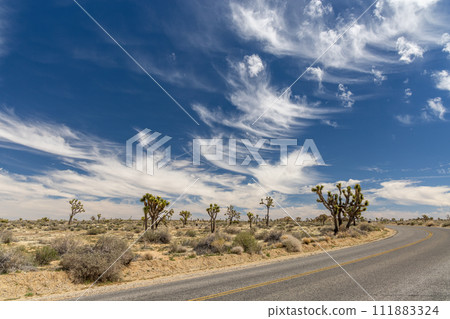 Joshua Tree National Park 111883324