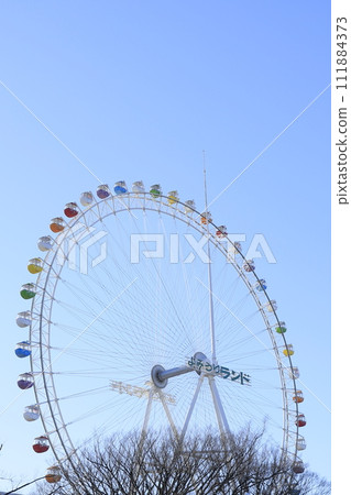 Yomiuri Land的摩天輪 Yomiuri Land的摩天輪 111884373