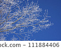 雪花 雪花 111884406