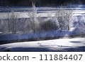 雪原的花朵在晨霧中閃閃發光 雪原的花朵在晨霧中閃閃發光 111884407