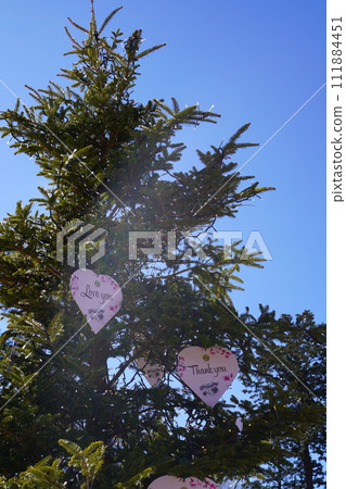 一棵樹裝飾著心形標籤和藍天 一棵樹裝飾著心形標籤和藍天 111884451