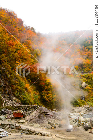 Autumn leaves bell fishing Autumn leaves bell fishing 111884484