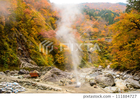 秋葉鈴釣 秋葉鈴釣 111884727