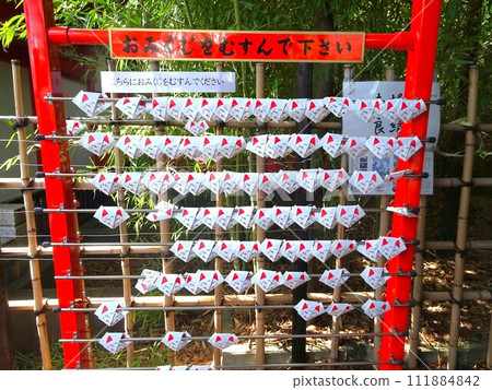 Fox fortune Fox fortune 111884842