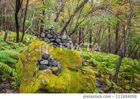 山路上長滿苔蘚的岩石上堆積的石頭【小淺山】 山路上長滿苔蘚的岩石上堆積的石頭【小淺山】 111884898
