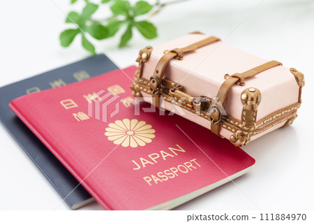 旅行行李箱和護照 111884970