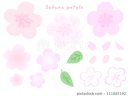 粉紅色的櫻花花瓣和葉子，可愛的手繪插畫集 111885192