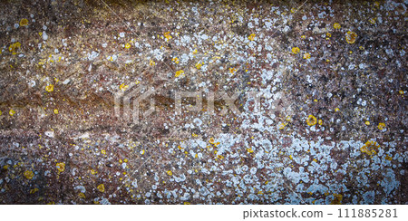 Old natural stone covered with black lichen and moss. Stone texture 111885281