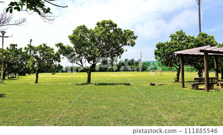 沖繩縣宇流麻市浦濱公園 111885546