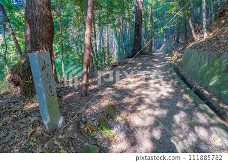 Nara prefecture, mountain path and stone marker in the forest 111885782