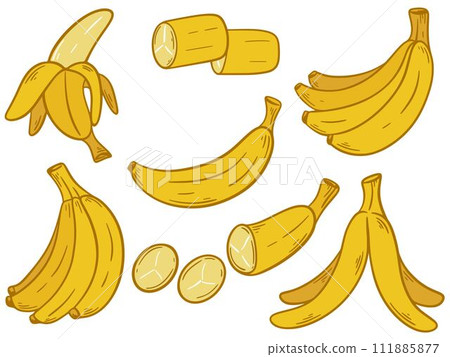 Hand drawn ripe bananas set, vector graphics 111885877