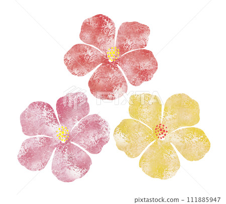 Grunge 水彩芙蓉 Grunge 水彩芙蓉 111885947